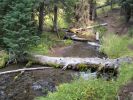 PICTURES/Annie Creek Trail - Crater Lake National Park/t_IMG_6308.jpg